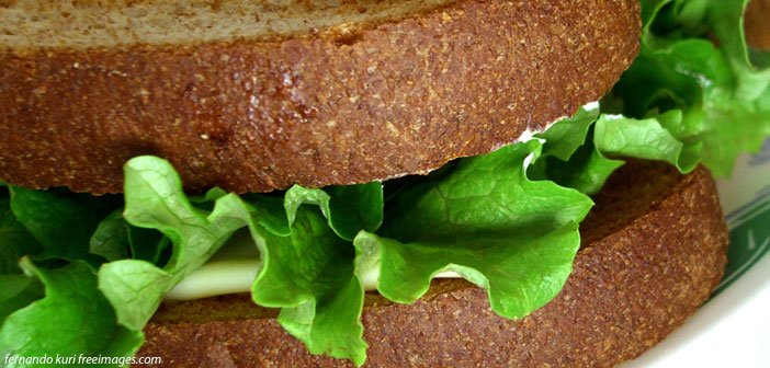 sammich sammich