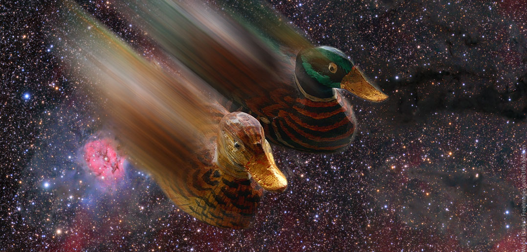 in-need-of-a-quack in-need-of-a-quack