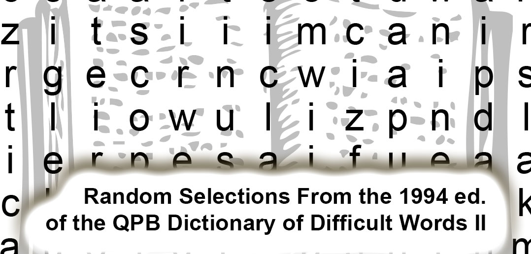 qpbwordsearch2