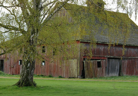 barn